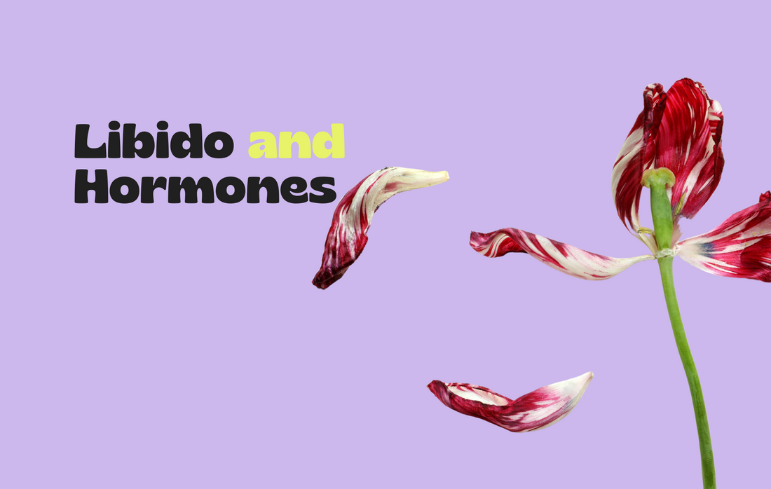 Libido and Hormones: How Testosterone and Other Hormones Affect Your Sexual Desire