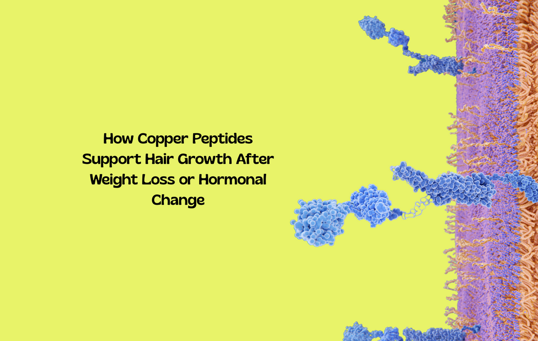 Copper peptides with thinning and regrowing hair strands, symbolizing support after weight loss or hormonal changes.