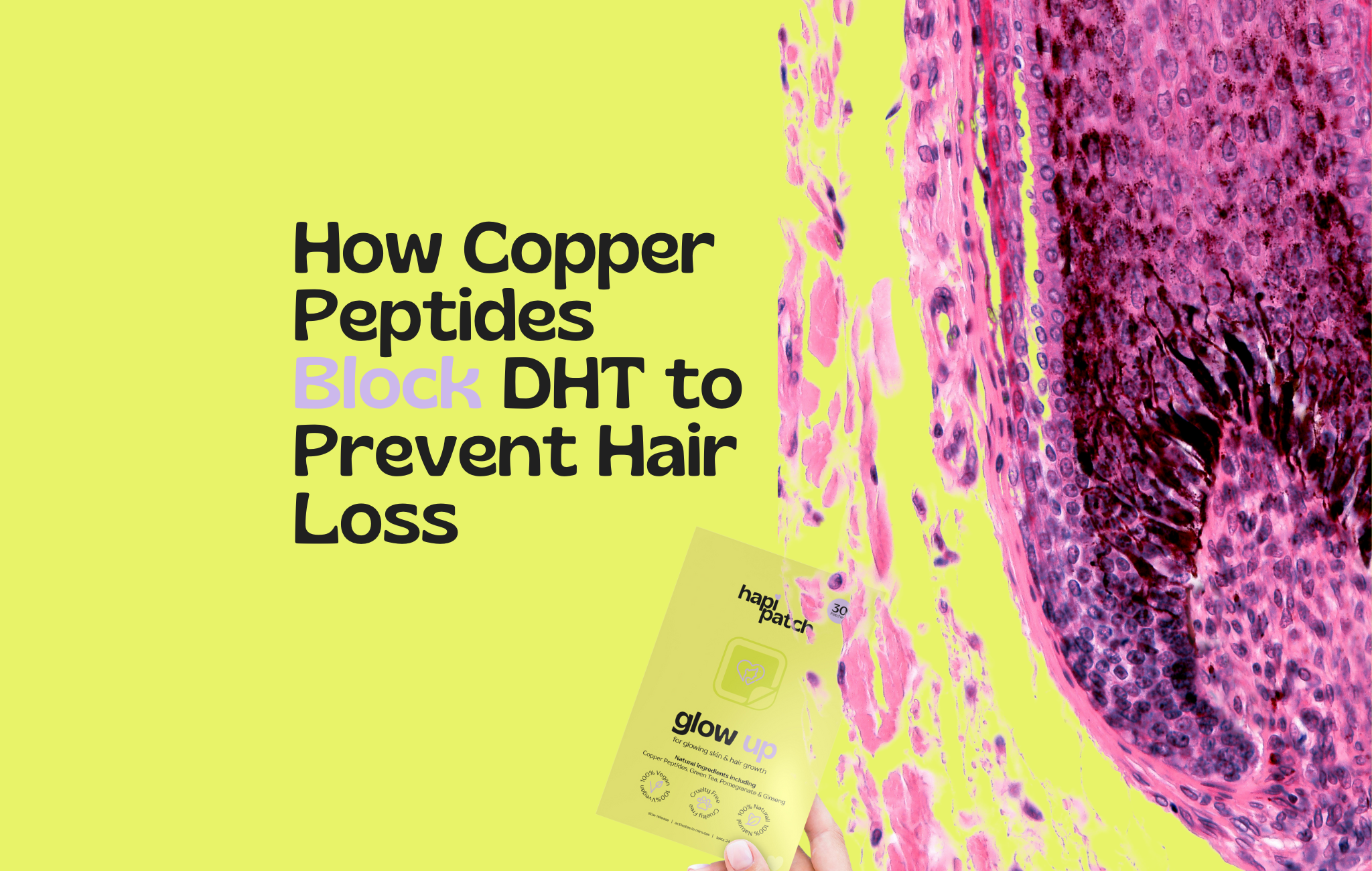 does ghk-cu inhibit dht hair loss Peptide Therapy Ebook Guide: Editable Canva Template (digital Download, PDF  Format A4 Size) main image 0