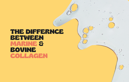 Comparing Bovine and Marine Collagen