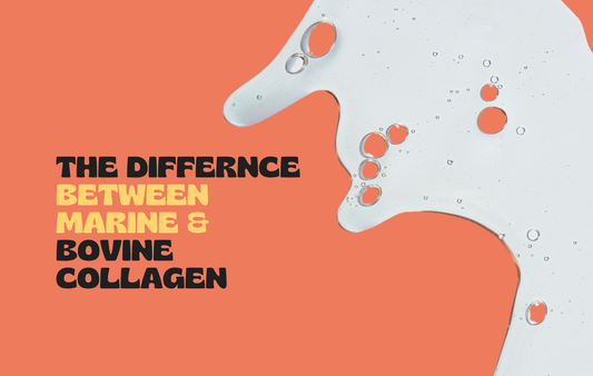 The Difference Between Marine And Bovine Collagen