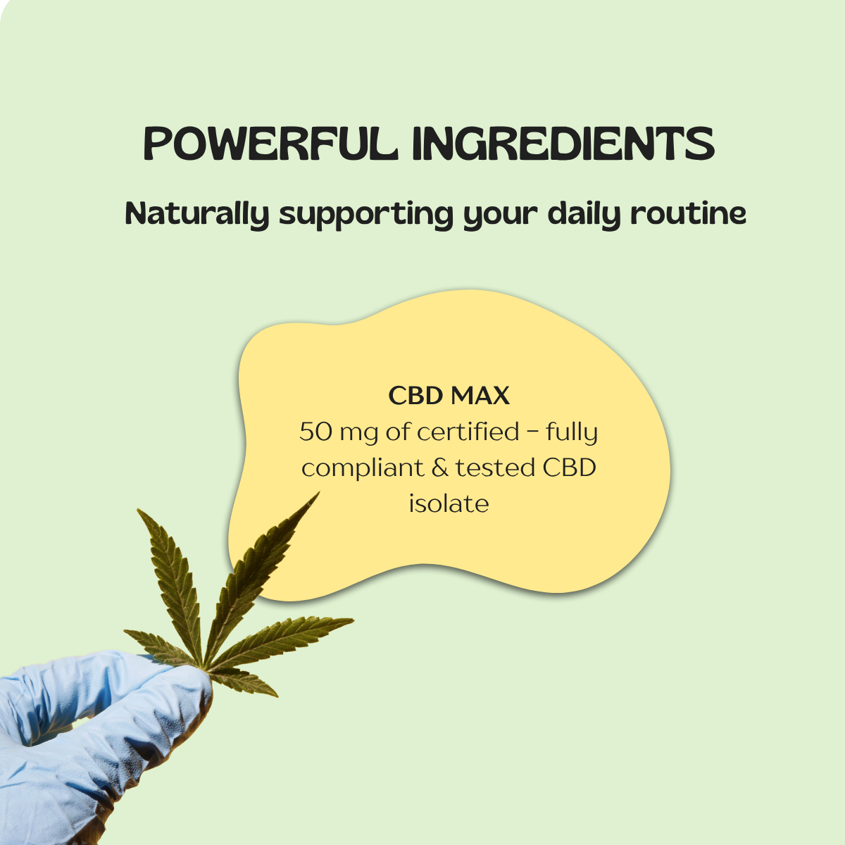Recover-ease Joint Care CBD Patch (MAX strength)