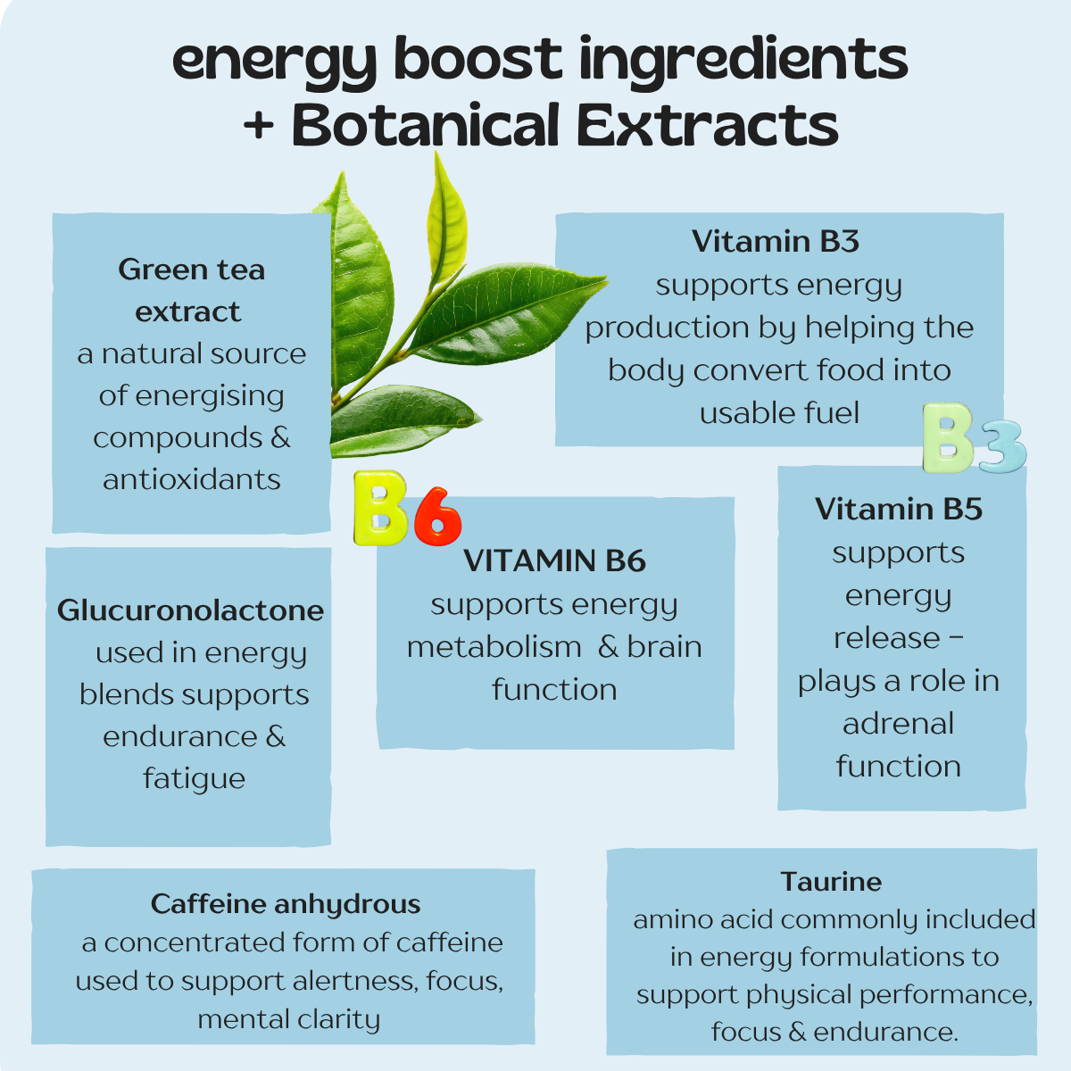 The Vitamin Patch Variety Kit- Save £20!